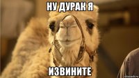 ну дурак я извините
