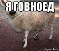 я говноед 