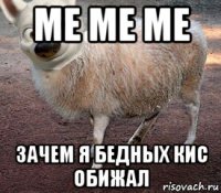 ме ме ме зачем я бедных кис обижал