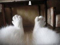 а 
