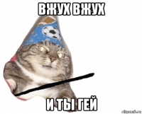 вжух вжух и ты гей