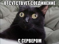 отсутствует соединение с сервером