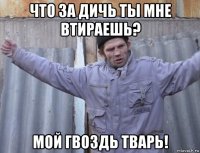 что за дичь ты мне втираешь? мой гвоздь тварь!