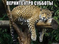 верните утро субботы 