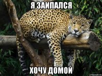 я заипался хочу домой