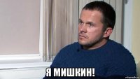  я мишкин!