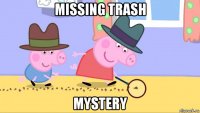 missing trash mystery