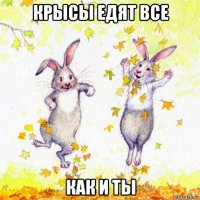 крысы едят все как и ты