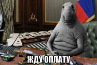  жду оплату