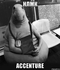 нлмк accenture