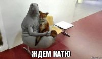  ждем катю