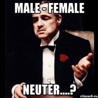 male - femalе neuter....?
