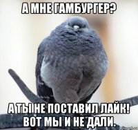 а мне гамбургер? а ты не поставил лайк! вот мы и не дали.