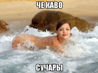 че каво сучары