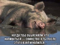  когда тебе объясняли, что напиваться — свинство, а ты после этого взял и напился...