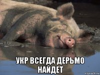  укр всегда дерьмо найдет