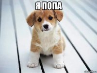 я попа 