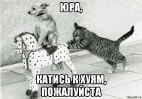 юра, катись к хуям, пожалуйста