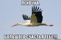 леночка, большого счастья тебе!!!