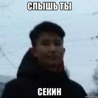 слышь ты секин