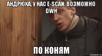 андрюха, у нас e-scan, возможно dwh по коням