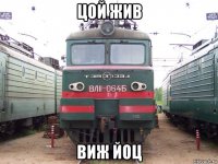 цой жив виж йоц