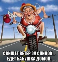  свищет ветер за спиной... едет бабушка домой.