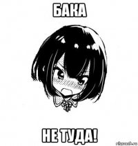бака не туда!