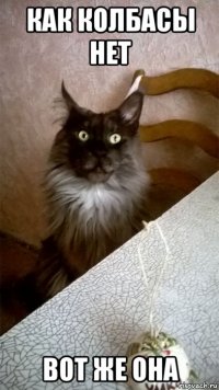 как колбасы нет вот же она