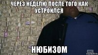 через неделю после того как устроился нюбизом