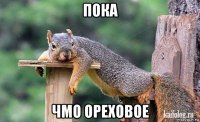 пока чмо ореховое