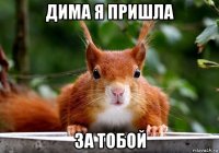 дима я пришла за тобой