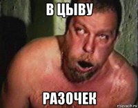 в цыву разочек