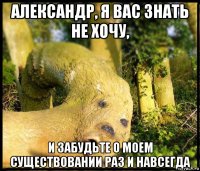 александр, я вас знать не хочу, и забудьте о моем существовании раз и навсегда