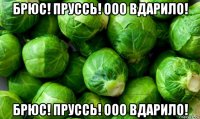 брюс! пруссь! ооо вдарило! брюс! пруссь! ооо вдарило!