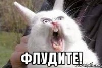  флудите!