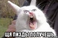  щя пизды получешь