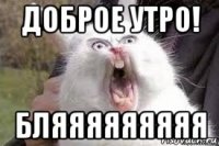 доброе утро! бляяяяяяяяя