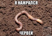 я нажрался червей