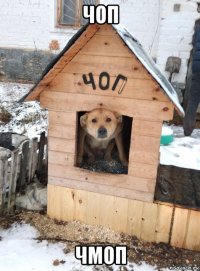 чоп чмоп