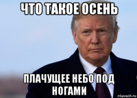 что такое осень плачущее небо под ногами