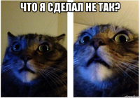 что я сделал не так? 