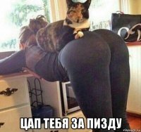  цап тебя за пизду