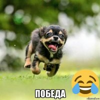  победа