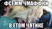 фсемм чмаффки в етом чятике
