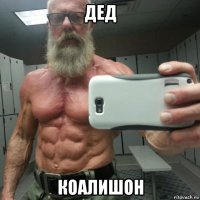 дед коалишон