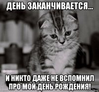 день заканчивается... и никто даже не вспомнил про мой день рождения!