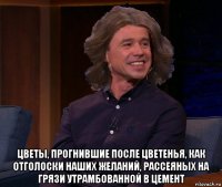  цветы, прогнившие после цветенья, как отголоски наших желаний, рассеяных на грязи утрамбованной в цемент