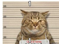 1 1