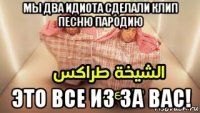 мы два идиота сделали клип песню пародию это все из за вас!